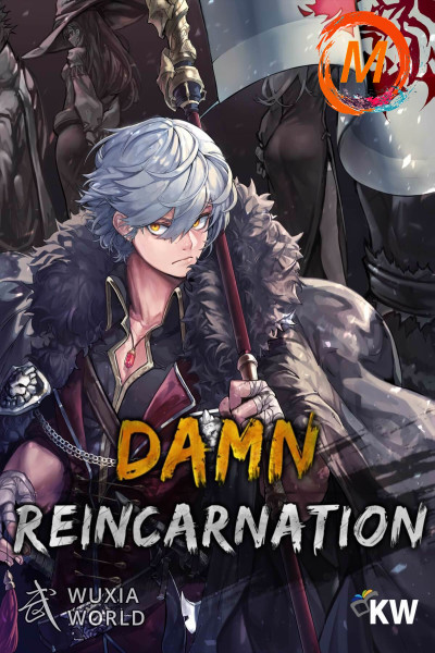 Damn Reincarnation cover