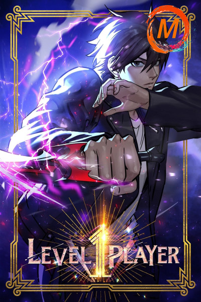 Level 1 Player cover