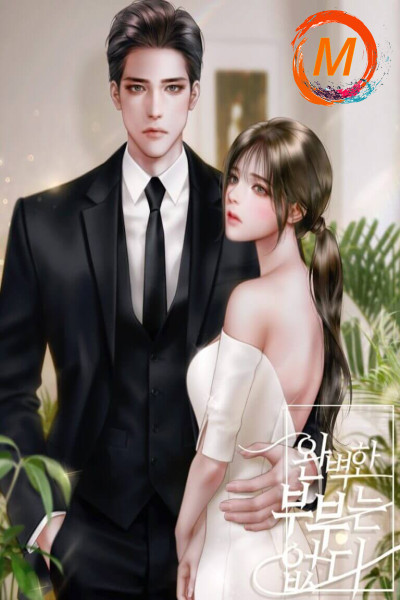 There Is No Perfect Married Couple cover