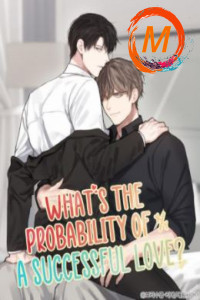 What’s the Probability of A Successful Love? cover