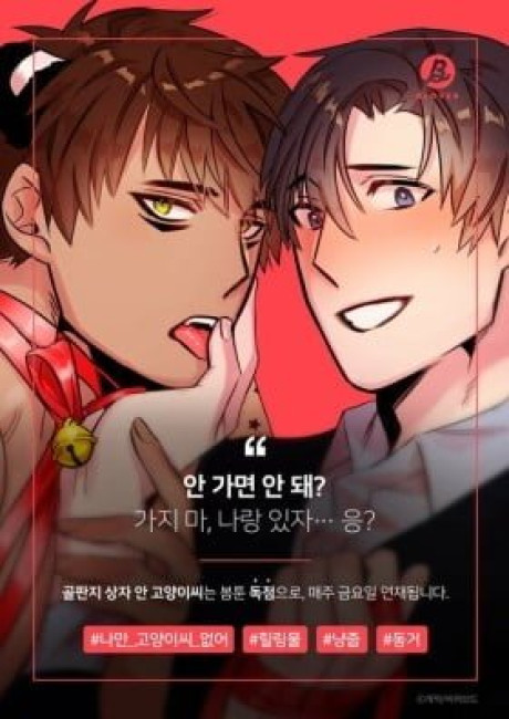 Cat in a Cardboard Box