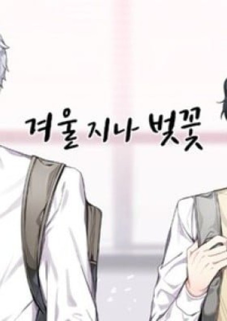 Cherry Blossoms After Winter