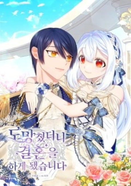 Domangchyeotdeoni Gyeolhoneul Hage Dwaetseumnida