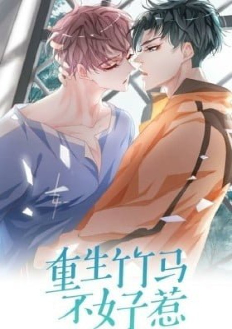 Don't Provoke Reborn-Ed Bamboo Horse (Colored)