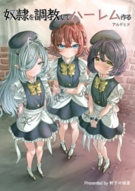 Dorei wo Choukyoushite Harem Tsukuru