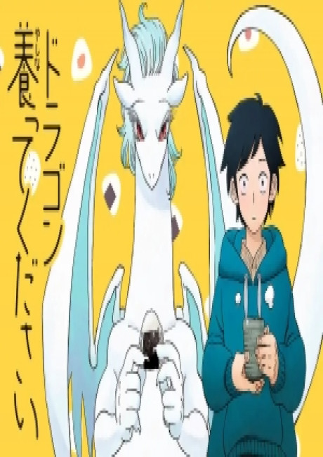 Dragon Yashinatte Kudasai