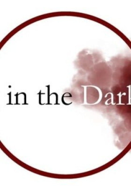 Flying in the Darkness