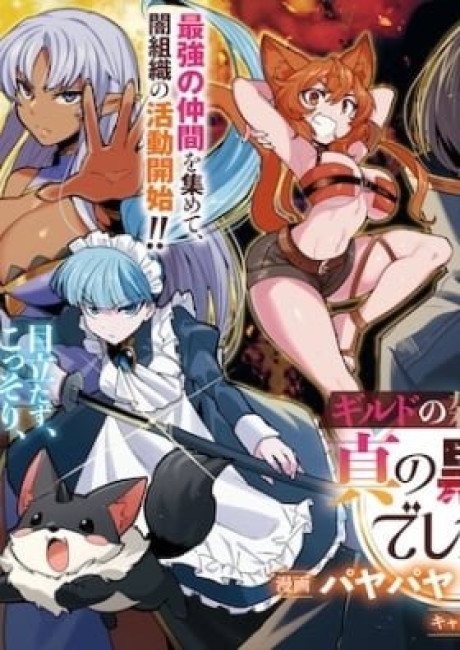 Guild no Zatsuyougakari ga Shin no Kuromaku deshita: Kakureta Sainou de Anyaku Musou