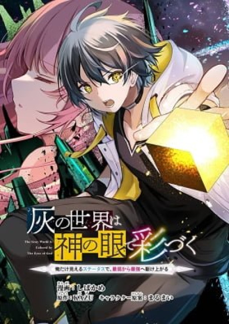 Hai no Sekai wa Kami no Me de irodzuku ～Ore dake mieru Status de, Saijaku kara Saikyou e kakeagaru ~