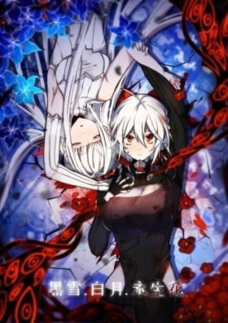 Hei Xue, Bai Yue, Yong Sheng Hua (Colored)