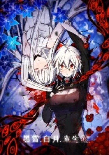 Hei Xue, Bai Yue, Yongsheng Hua