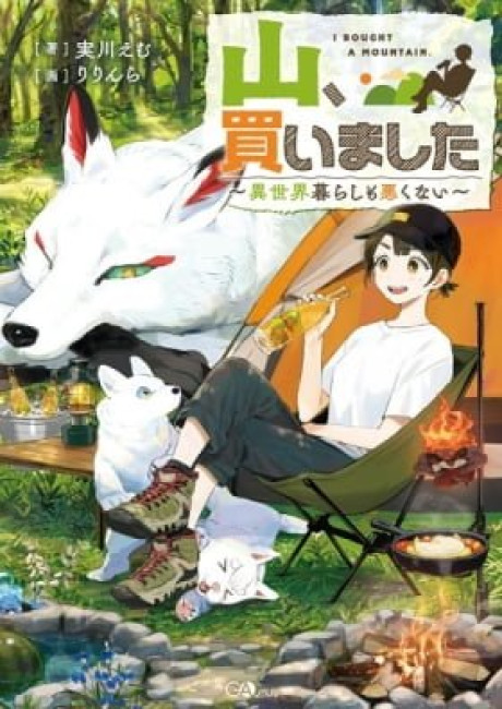 I Bought a Mountain.