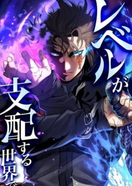 In a World Where Levels Rule