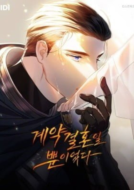 Just a Contract Marriage