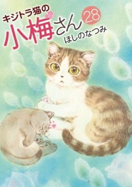 Kijitora Neko no Koume-san