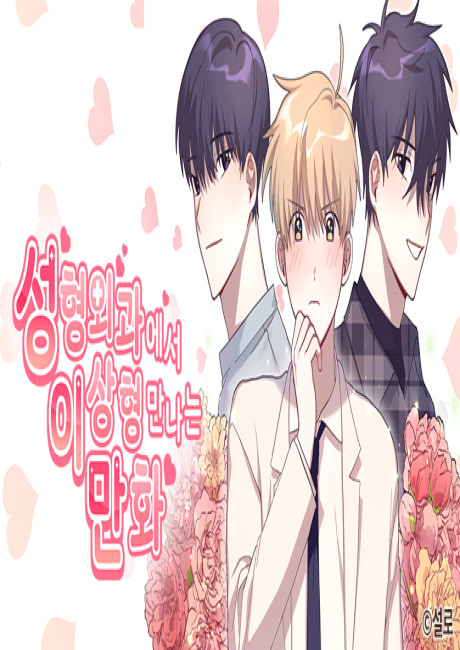 Meeting your Ideal Type at the Plastic Surgeon Manhwa