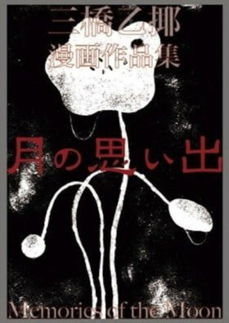 Memories of the Moon