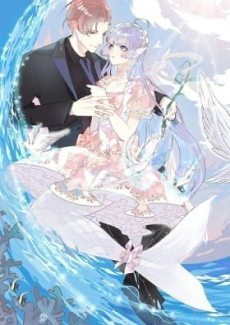 Mermaid's Dresses (Colored)