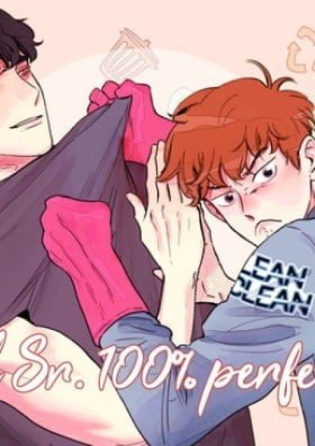 Mr. 100% Perfect