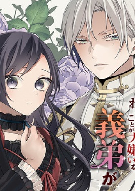 My Foster Brother, Who Hates Me, Has Become a Guard Knight