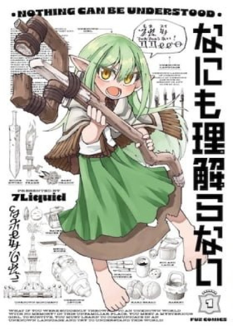 Nothing Can be Understood