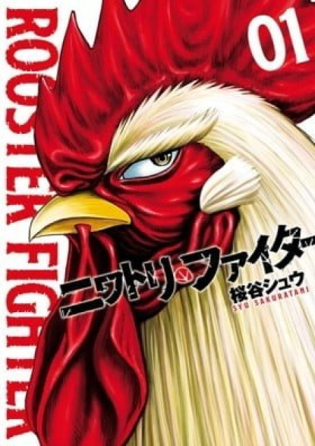 Rooster Fighter