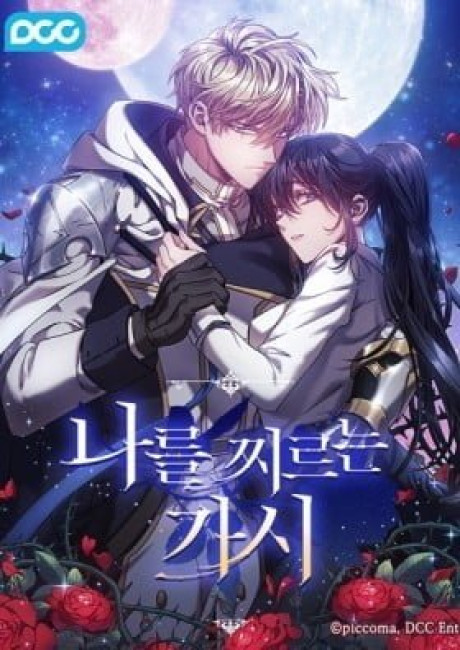 The Thorn That Pierces Me