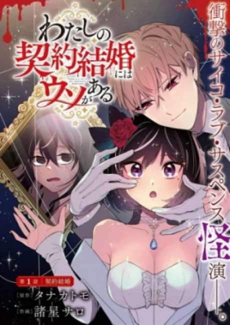 There Is a Lie in My Contract Marriage