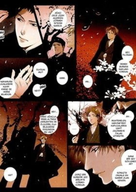 Under the Sakura Tree