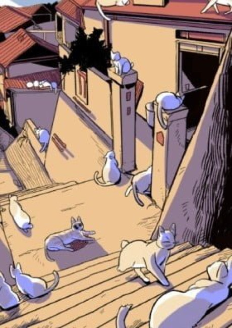 Welcome to the Island of Cats