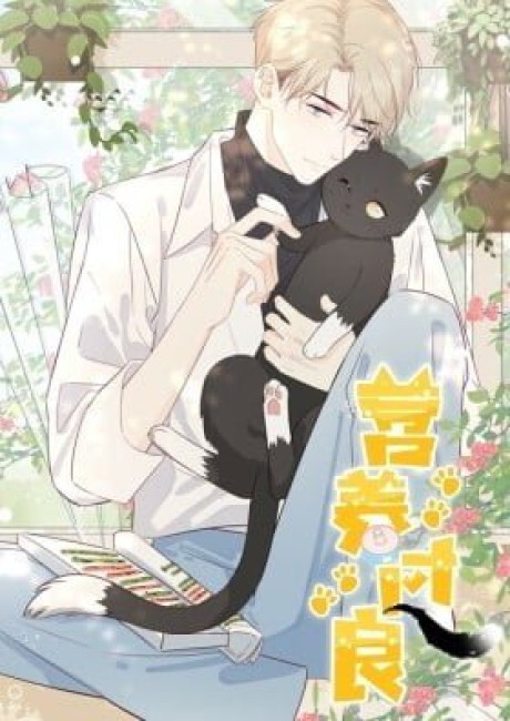 Ying Yang Guo Liang (Colored)