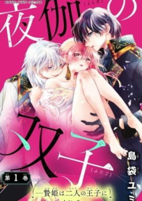 Yotogi no Futago: Niehime wa Futari no Ouji ni Aisareru