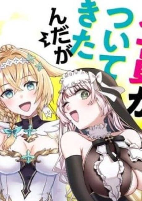 Yuusha Party wo Kubi ni Natta node Kokyou ni Kaettara, Member Zenin ga Tsuite Kitan da ga